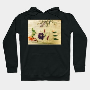 Nature is Love Hoodie